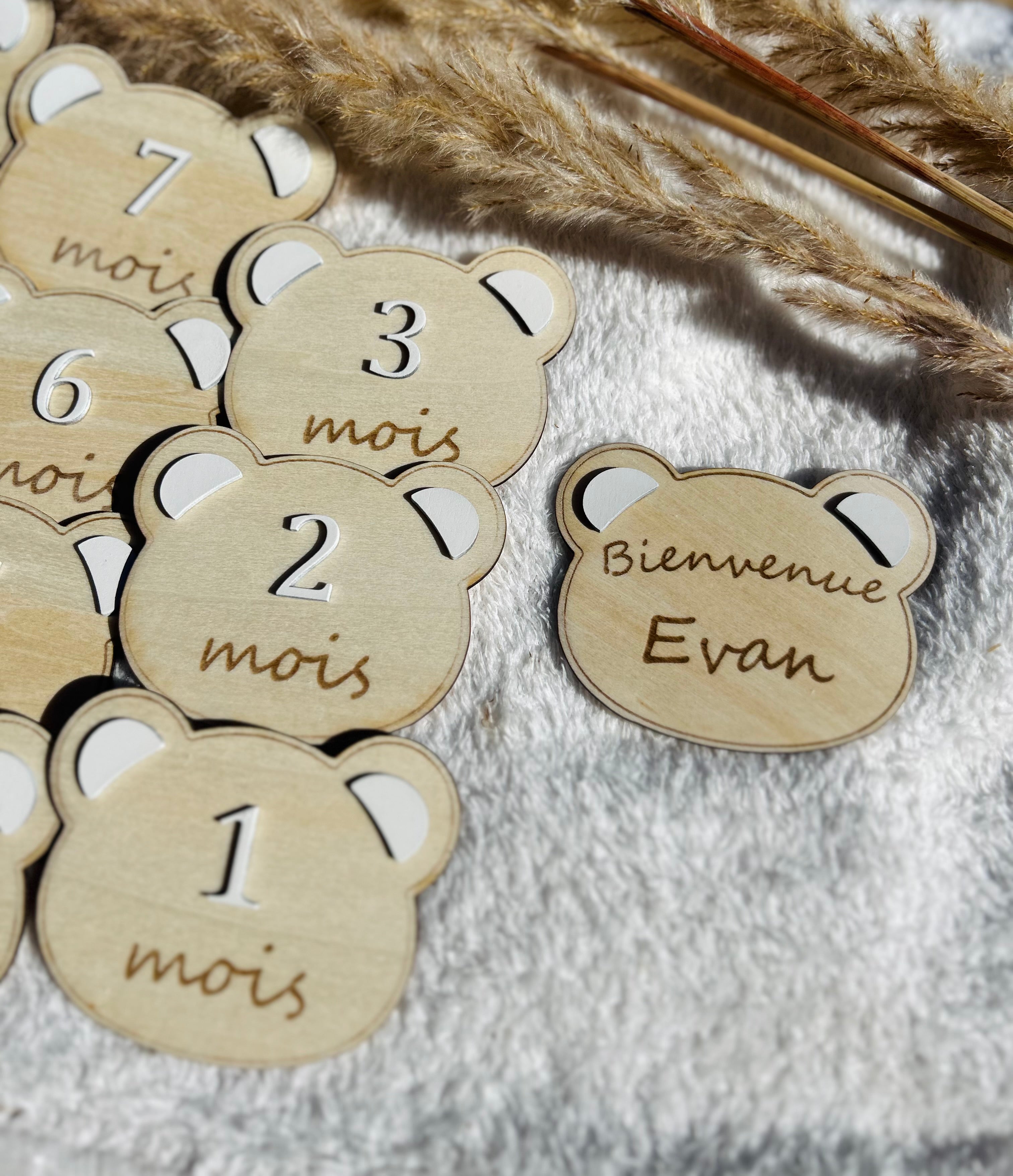 Cartes étapes Ourson – Lot de 13 Bois & Soleil
