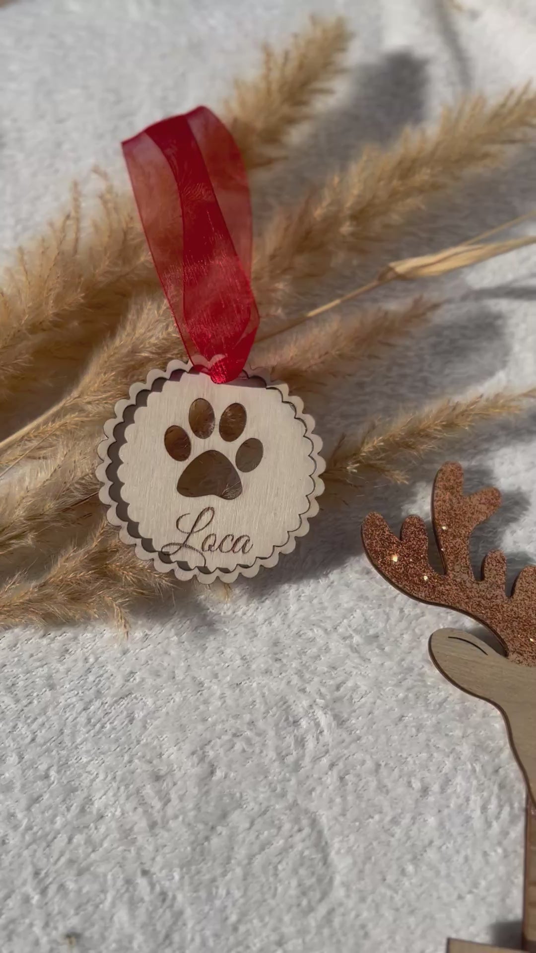 Ma patte de Noël